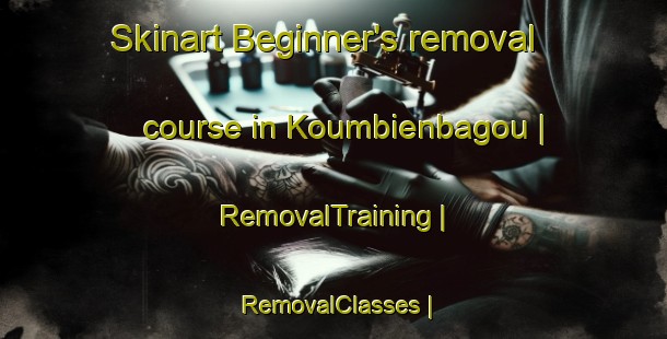 Skinart Beginner's removal course in Koumbienbagou | RemovalTraining | RemovalClasses | SkinartTraining-Togo